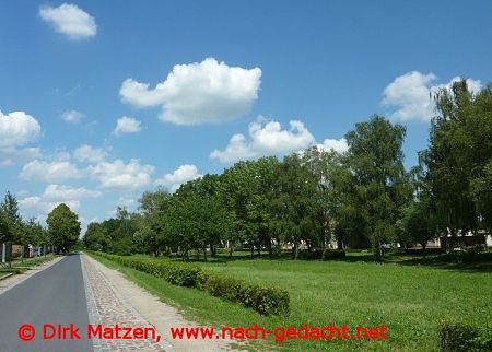 Neulewin