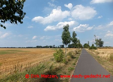 Radstrecke hinter Wriezen