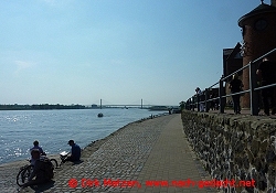 RheinRadweg Millingen bis Xanten