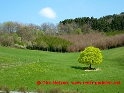 RuhrtalRadweg Ruhrquelle bis Arnsberg