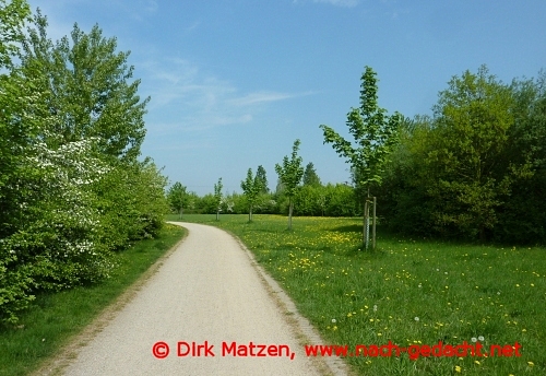 Xanten RheinRadweg