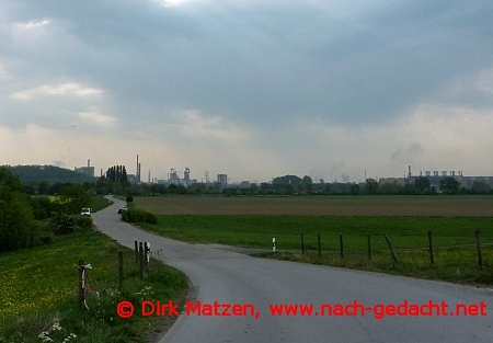 Rheinaue Binsheim