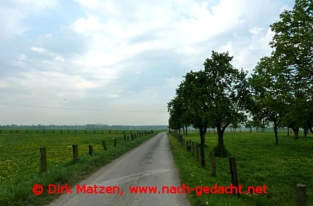 Rheinradweg Orsoy