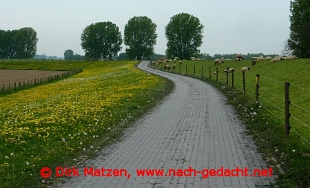 Perrich Rheinradweg
