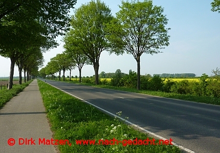 Rheinradweg Rheinuferstrasse