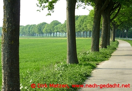 Rheinuferstrasse