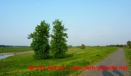 Dffelward Rhein