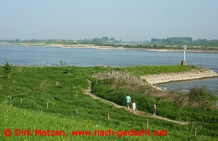 Rhein bei Millingen