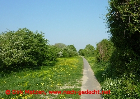 Millingerwaard
