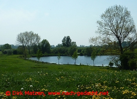 Biener Altrhein