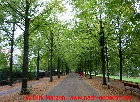 Mnster Promenade