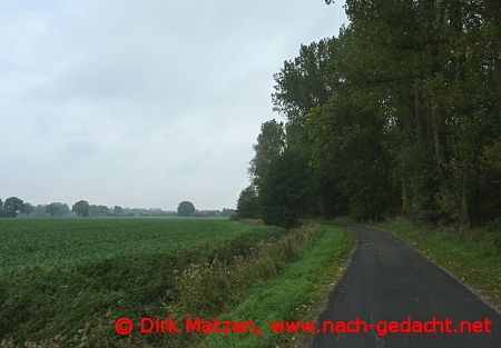 Münsterland Landschaft