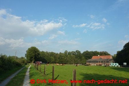Landschaft an Vechtetal-Route