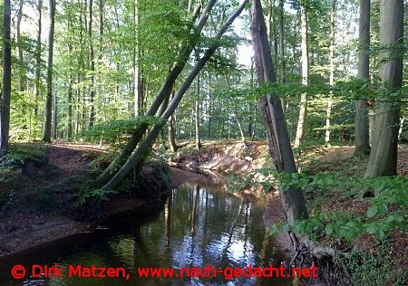 Vechte bei Haverbeck
