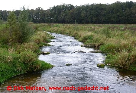 Vechte bei Engden