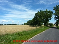 Radtour Zielona Odra / Grne Oder