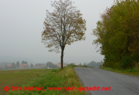 Landschaft bei Dittelsdorf