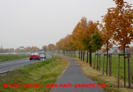 Zittau, Görlitzer Straße