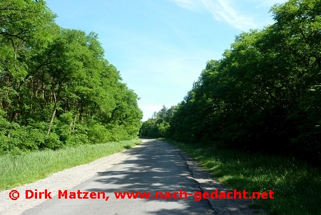 Kalensko, Strasse im Wald