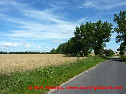 Landschaft in der Neumark