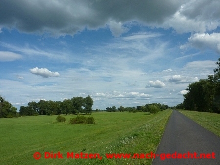 Oder-Neie-Radweg, Landschaft im Oderbruch