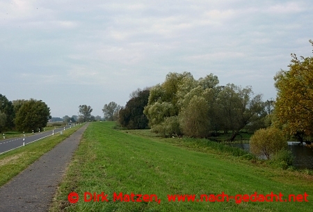 Radweg Oderdeich