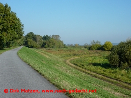 Radweg im Nationalpark