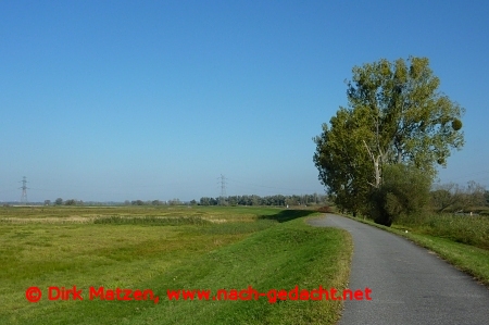 Oder-Neie-Radweg