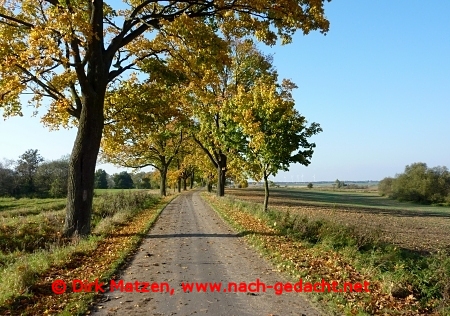 Weg bei Neurochlitz