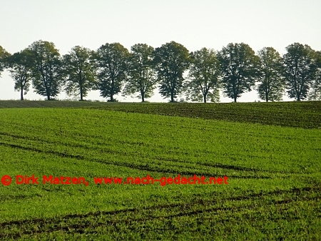 Bei Tantow, Uckermark