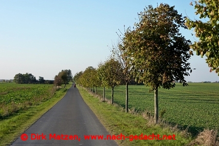 Radweg vor Penkun