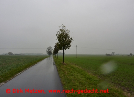 Radweg bei Wollin