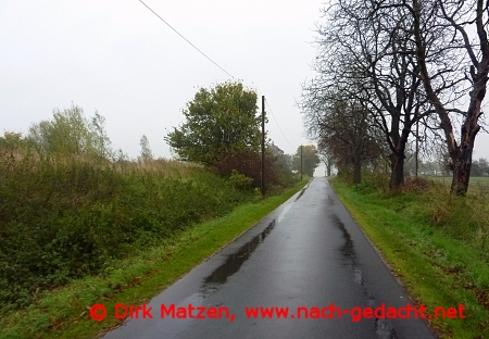 Radweg bei Battinsthal