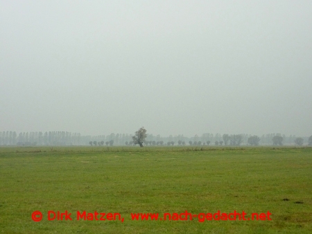Landschaft bei Dorotheenwalde