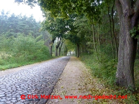 Radweg bei Breitenstein