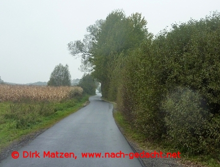 Radweg beim Ort Rothenburg
