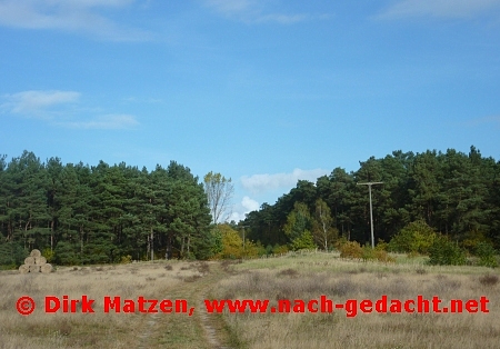 Warsin, Weg auf Feld