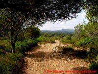 Reisebericht Menorca