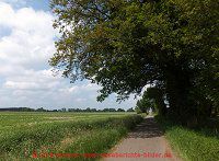 Bilderserie Ilmenauradweg