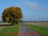 Radtour Oder-Neiße-Radweg