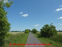 Radtour Oderbruchbahn-Radweg