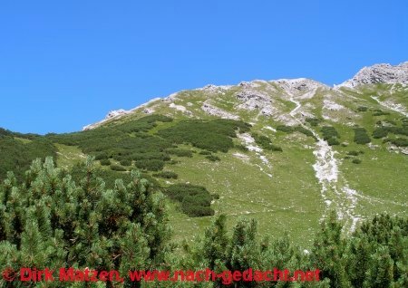 Allguer Alpen, Weg vom Breitenberg hinab