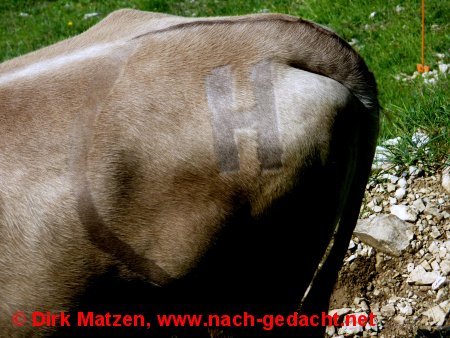 H-Milch