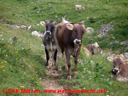 Khe auf Wanderweg
