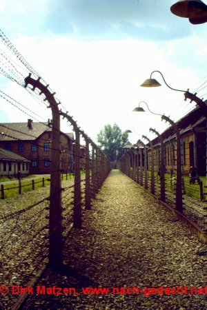 KZ Auschwitz, Der Todeszaun