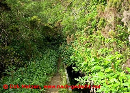 Sao Miguel Levada