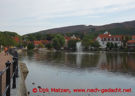 Ilsenburg, Forellenteich