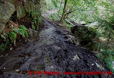 Matschiger Wanderweg