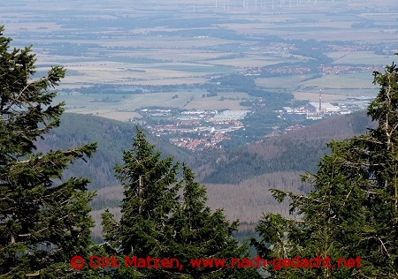 Blick nach Ilsenburg