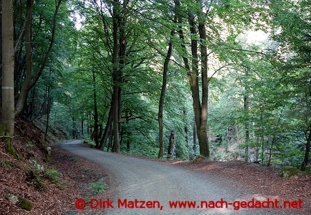 Fahrweg nach Ilsenburg